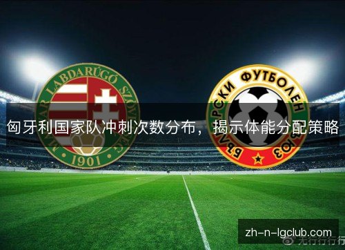 匈牙利国家队冲刺次数分布,揭示体能分配策略 匈牙利国家队冲刺次数分布,揭示体能分配策略